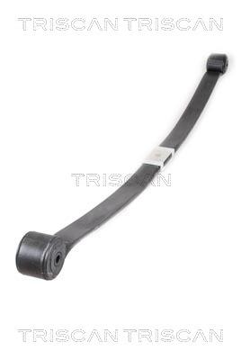 876516040 Triscan Leaf spring