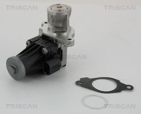 Triscan 8813 10004 EGR Valve 881310004