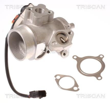 Triscan 8813 10012 EGR Valve 881310012