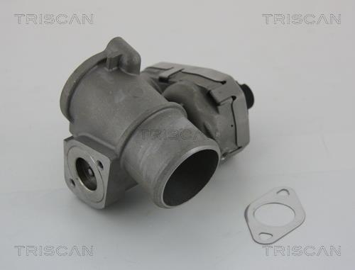 Exhaust system Ford Mondeo: 881316101 Triscan EGR Valve