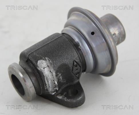 Triscan 8813 25006 EGR Valve 881325006