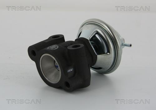 Triscan 8813 43014 EGR Valve 881343014