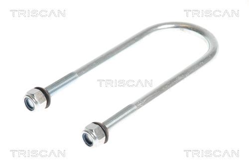 8765100015 Triscan U-bolt for Springs