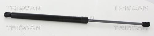 8710292047 Triscan Tailgate strut