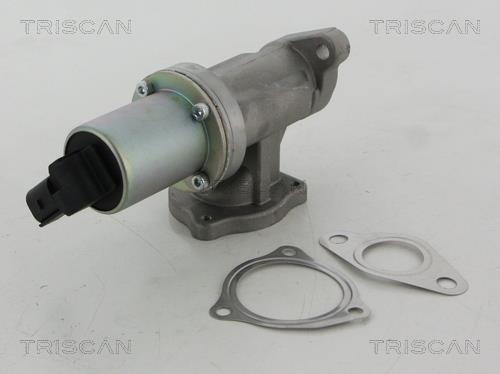 Triscan 8813 43100 EGR Valve 881343100