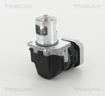 Triscan 8813 23025 EGR Valve 881323025