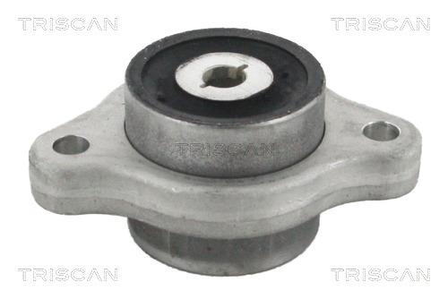 Triscan 8500 23887 Control Arm-/Trailing Arm Bush 850023887