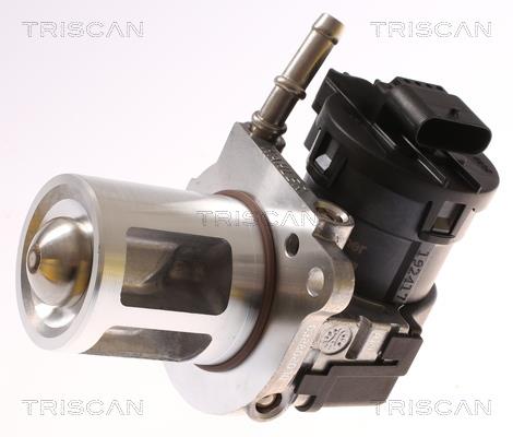 Triscan 8813 23018 EGR Valve 881323018