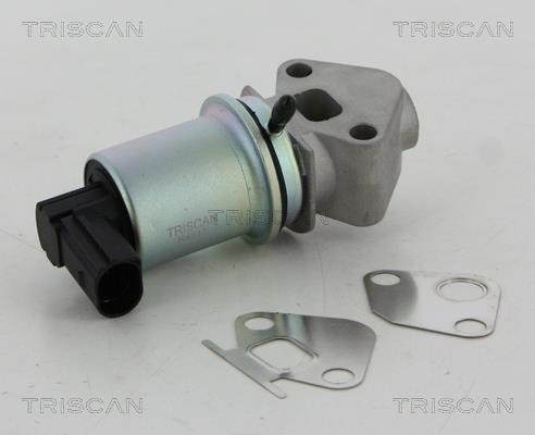 Triscan 8813 29066 EGR Valve 881329066