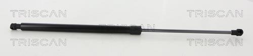 Tailgate gas struts Citroen: 871038248 Triscan Tailgate strut