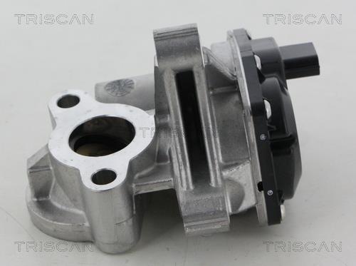 Triscan 8813 25041 EGR Valve 881325041