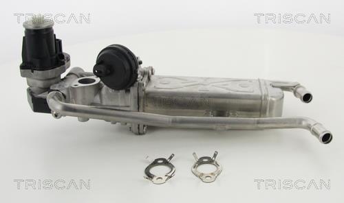 Triscan 8813 29325 EGR Valve 881329325