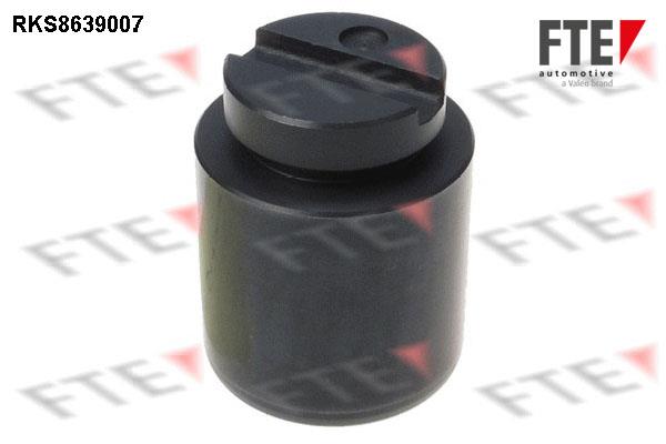 FTE RKS8639007 Brake caliper piston RKS8639007