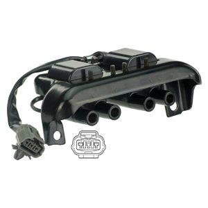 Delphi GN10771 Ignition coil GN10771 GN10771 Delphi Ignition coil