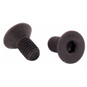 BGK008 Delphi Bolt, brake disc