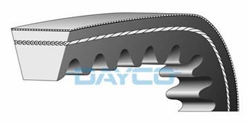 Dayco 10A0545C V-belt 10A0545C