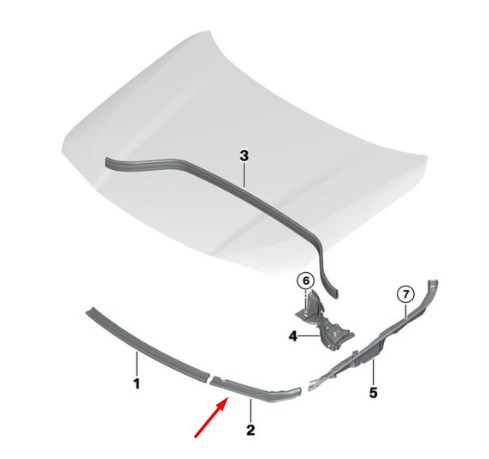 51767462096 BMW Hood seal