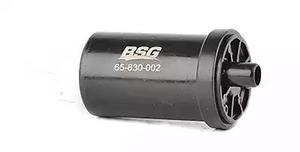 BSG 65-830-002 Fuel pump 65830002