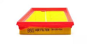 BSG 30-135-024 Air filter 30135024
