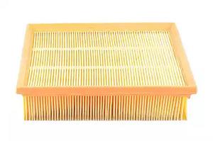 BSG 90-135-002 Air filter 90135002