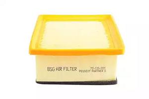 BSG 70-135-001 Air filter 70135001