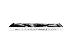 BSG 15-145-007 Activated Carbon Cabin Filter 15145007