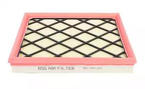 BSG 65-135-017 Air filter 65135017