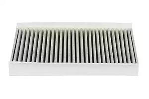 BSG 15-145-001 Activated Carbon Cabin Filter 15145001