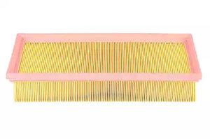 BSG 15-135-003 Air filter 15135003