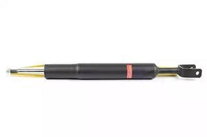 BSG 90-300-037 Front oil and gas suspension shock absorber 90300037