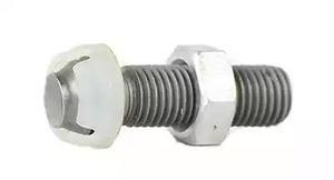 BSG 40-700-113 Adjusting Screw, valve clearance 40700113