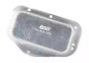 BSG 65-506-005 Oil cooler 65506005