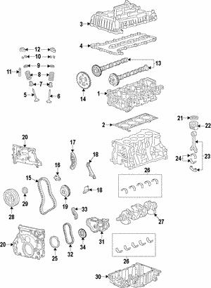 General Motors 55573867 Timing belt 55573867