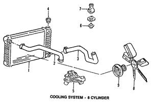 12556594 General Motors Coolant system socket