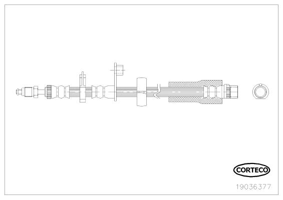 Corteco 19036377 Brake Hose 19036377