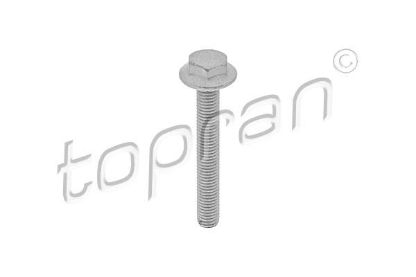 Topran 115 806 Bolt 115806 115806 Topran Bolt