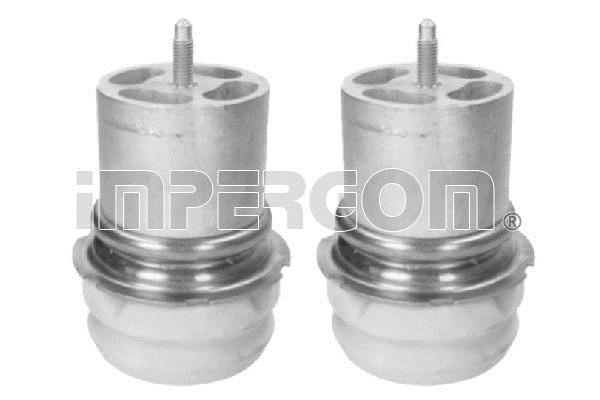 Impergom 51072 Dustproof kit for 2 shock absorbers 51072