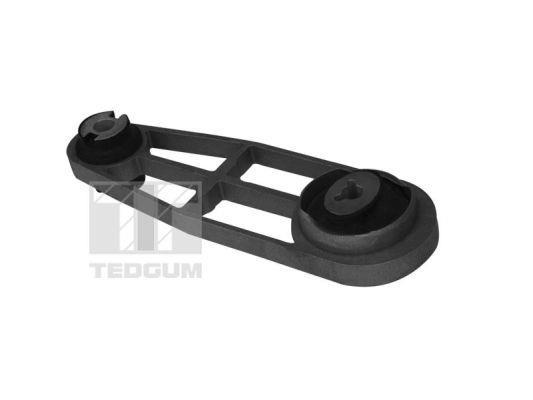 00589885 TedGum Suspension