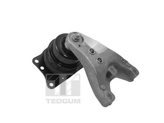TedGum 00729405 Suspension 00729405 00729405 TedGum Suspension