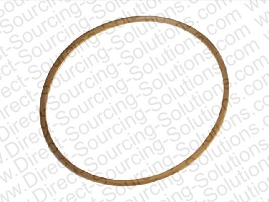 DSS 207898 Ring sealing 207898