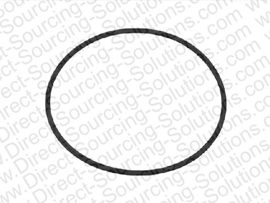 DSS 204169 Ring sealing 204169