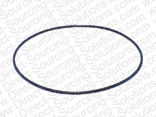 DSS 106441 Ring sealing 106441