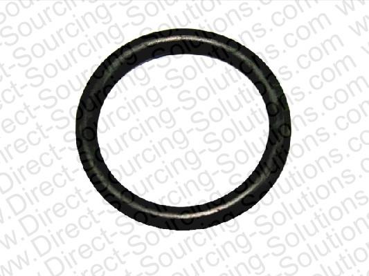 DSS 202443 Ring sealing 202443