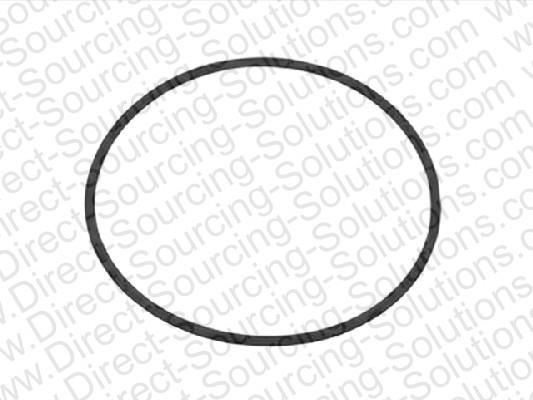 DSS 201914 Ring sealing 201914