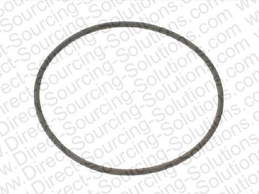 DSS 101045 Ring sealing 101045