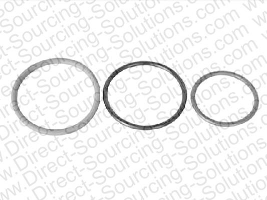 DSS 103509 O-rings for fuel injectors, set 103509