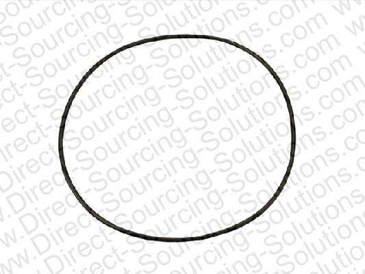 DSS 250011 Ring sealing 250011