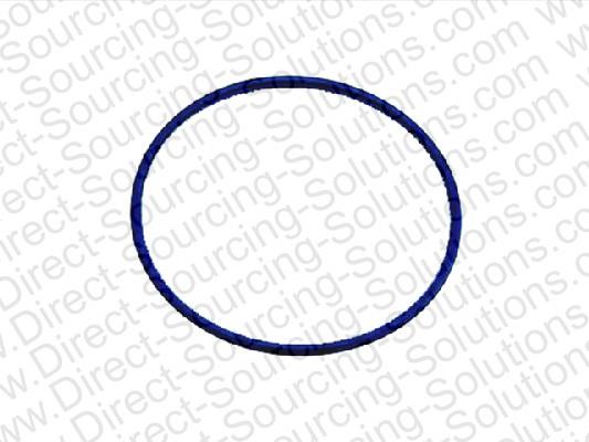 DSS 202460 Ring sealing 202460