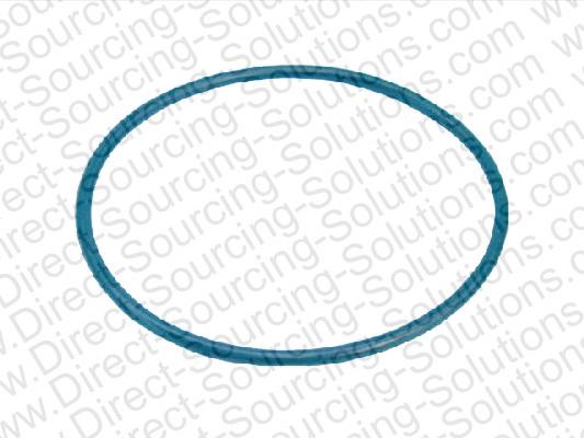 DSS 101371 Ring sealing 101371