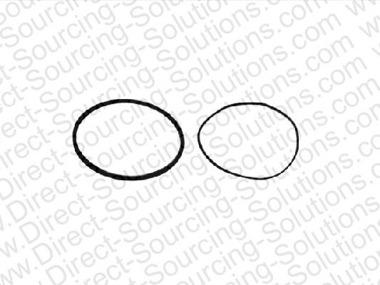 DSS 110080 O-rings for cylinder liners, kit 110080